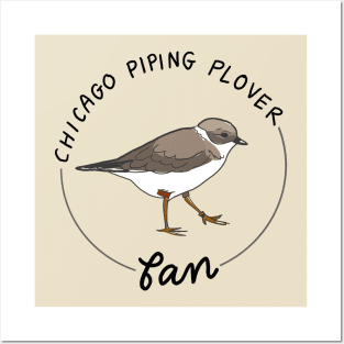 Piping Plover Posters and Art